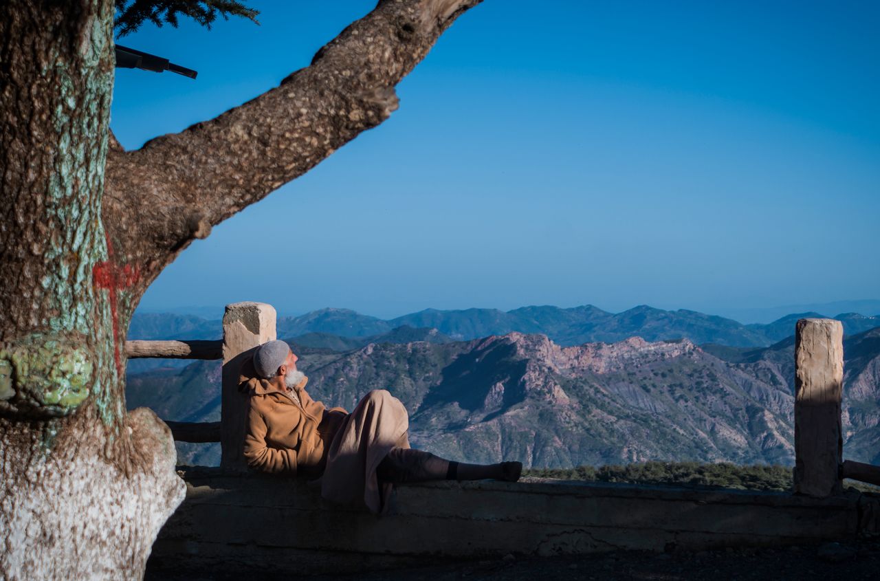 An elderly man enjoys a peaceful moment sitting by a tree with a scenic view of the mountains in Algiers Province, Algeria.